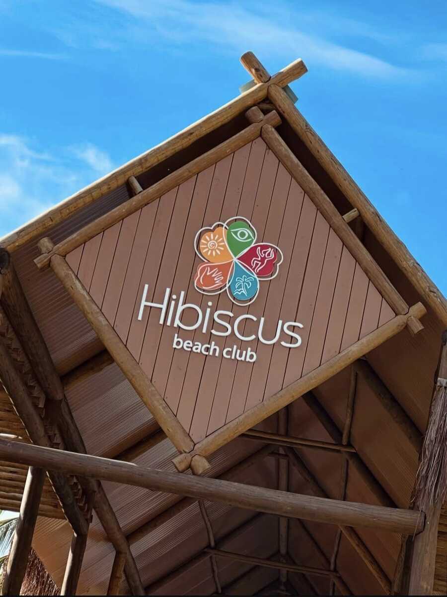Hibiscus Ipioca
